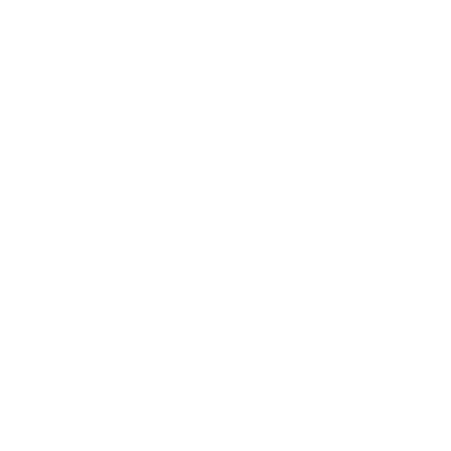 Five Dynasty LLC